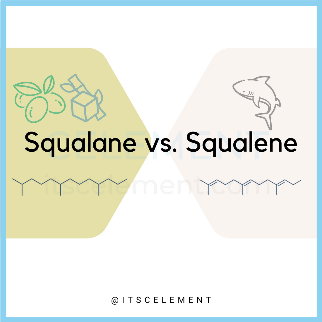 Squalane vs. Squalene